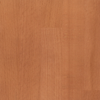 Старый орех 1