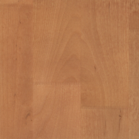 Старый орех 1